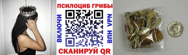 Купить  Павловск  Псилоцибиновые грибы мухоморы 